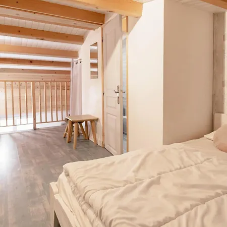 Rare, Triplex 12 Personnes, Acces Direct Aux Pieds Les Deux Alpes