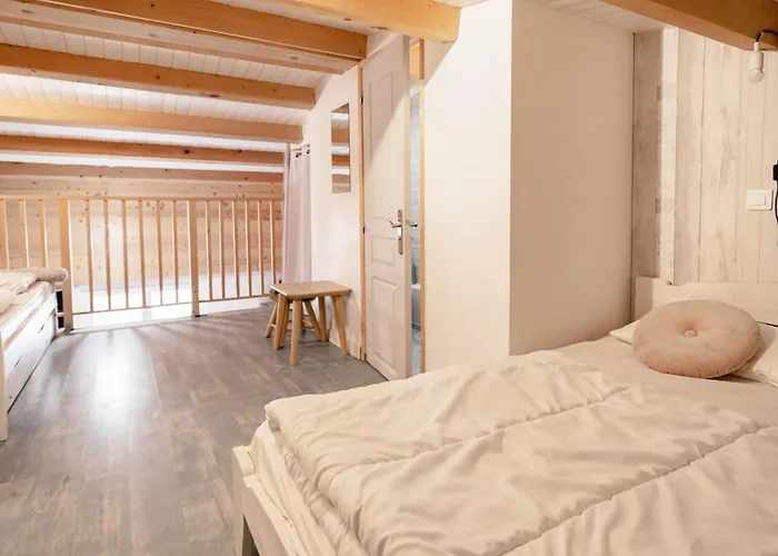 Rare, Triplex 12 Personnes, Acces Direct Aux Pieds Les Deux Alpes